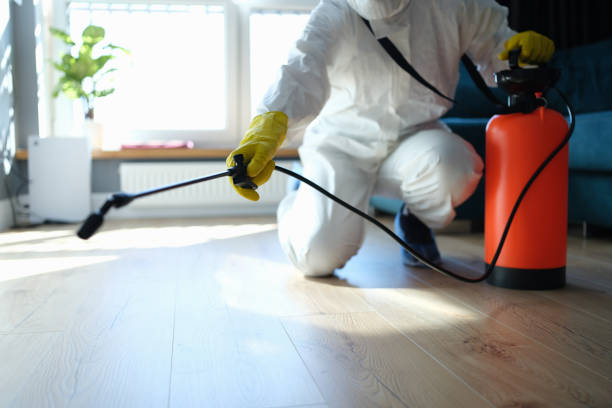 Reliable Biohazard Cleanup contractor in Columbia, CA by Trauma Clean Pros